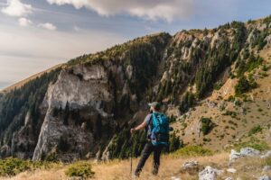 Recovery Milestones