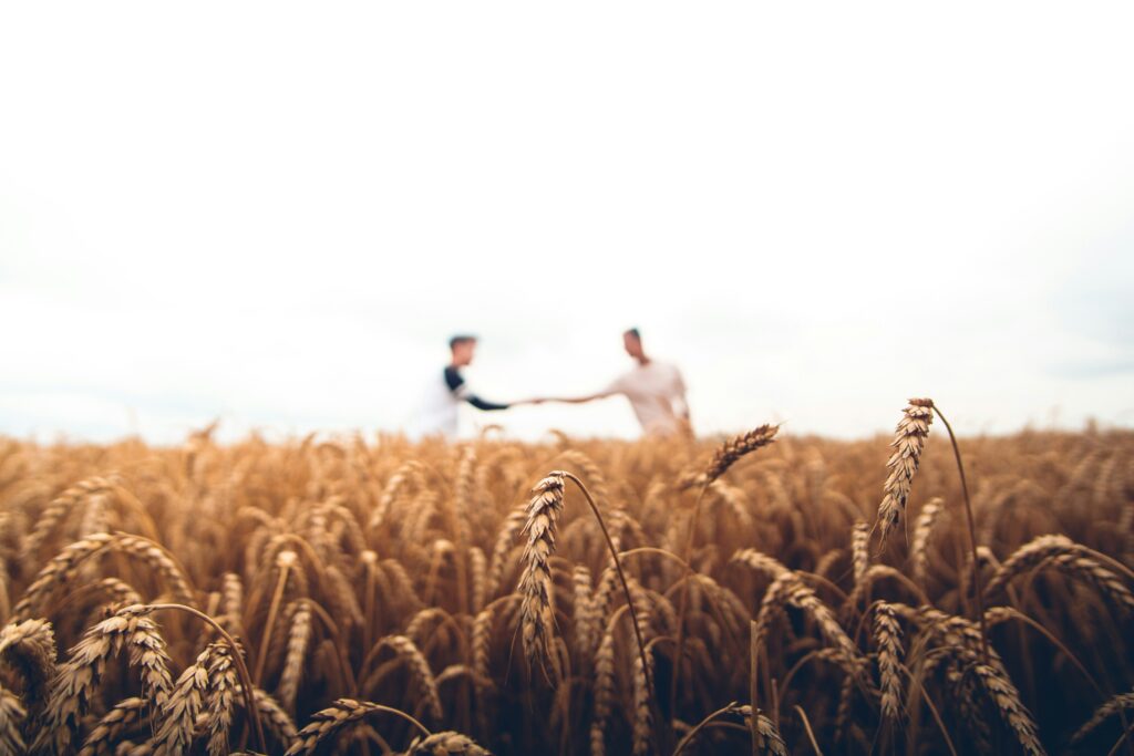 Male Peer Support in Recovery