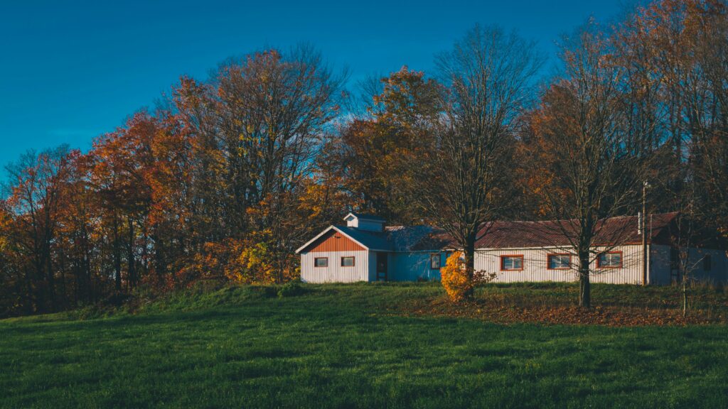 Transition to Independent Living