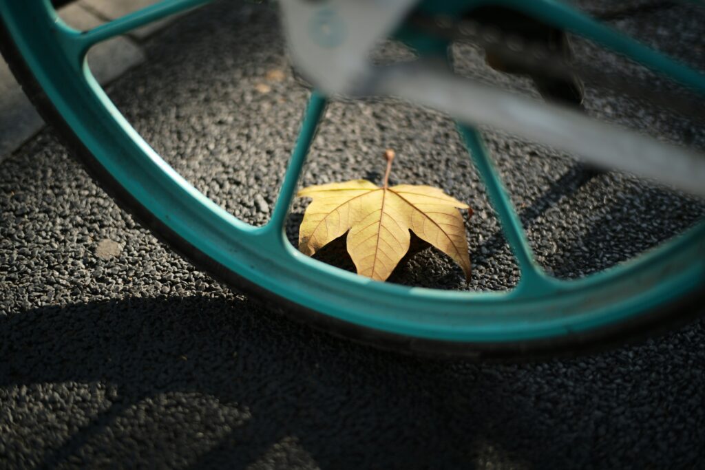 Preventing the Treatment-to-Relapse Cycle