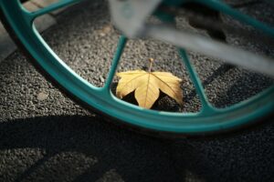 Preventing the Treatment-to-Relapse Cycle