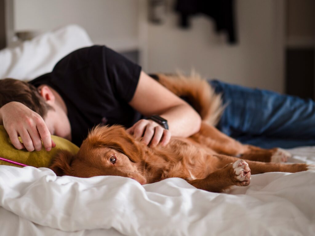 Sleep Architecture in Recovery